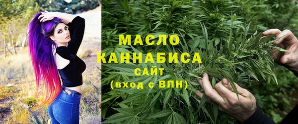 гашик Кулебаки