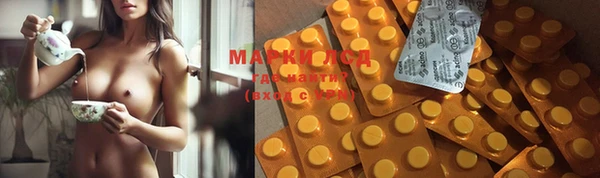 гашик Кулебаки