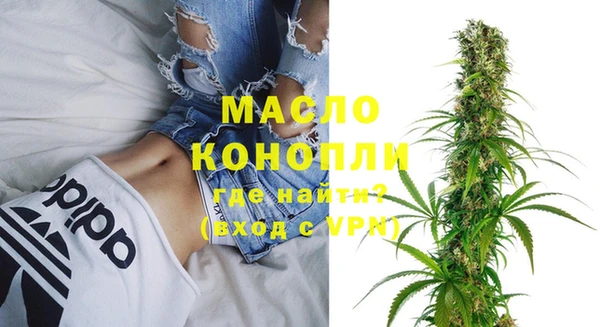 гашик Кулебаки