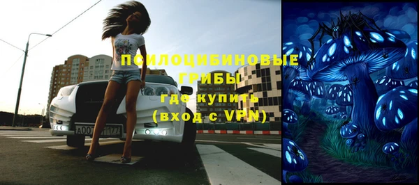 гашик Кулебаки