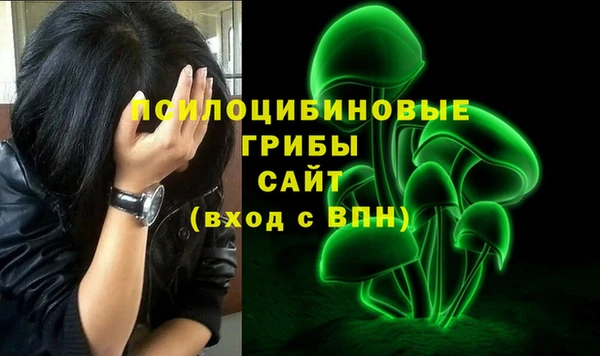 гашик Кулебаки