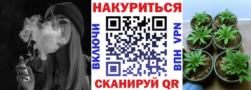 Бошки марихуана планчик  Купить где  Железногорск 